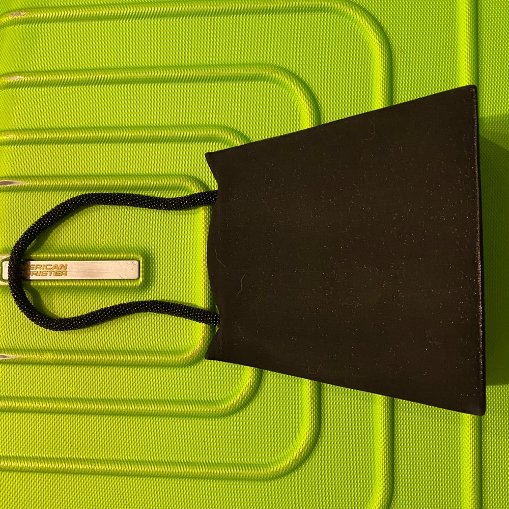 Sasha- metallic black purse